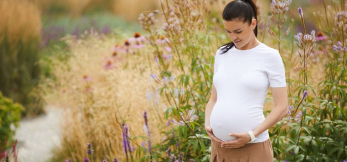 CBD et grossesse : est-il bon d’en consommer enceinte ?