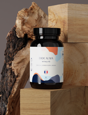 Champignons adaptogènes Vitalité