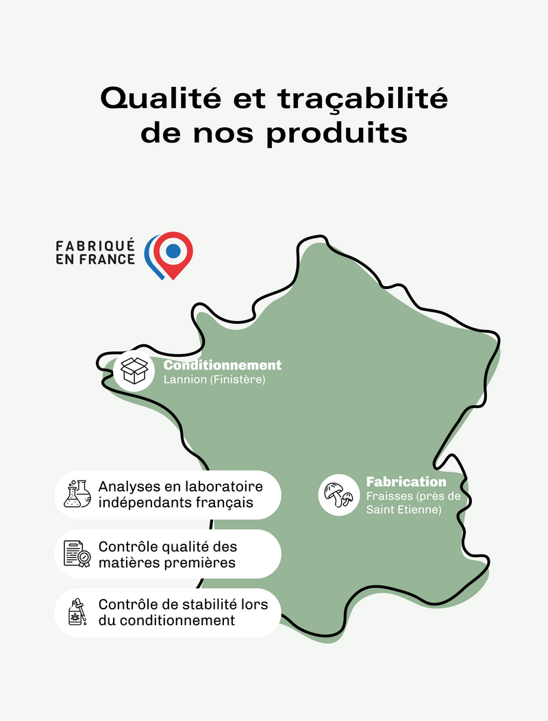 Champignons Adaptogènes Immunité