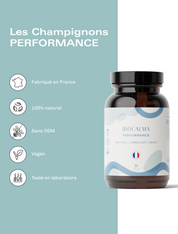 Champignons adaptogènes Performance