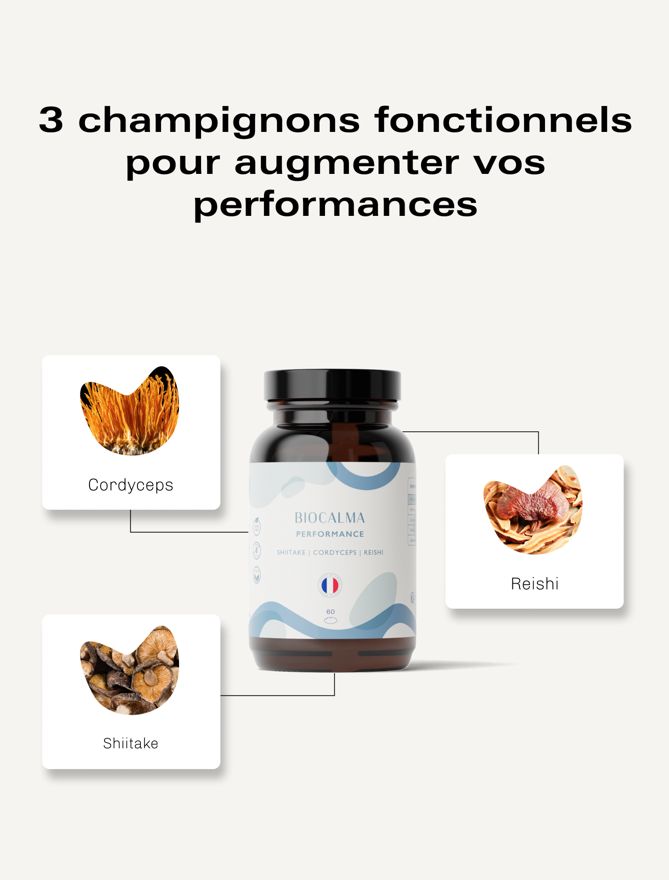 Champignons adaptogènes Performance