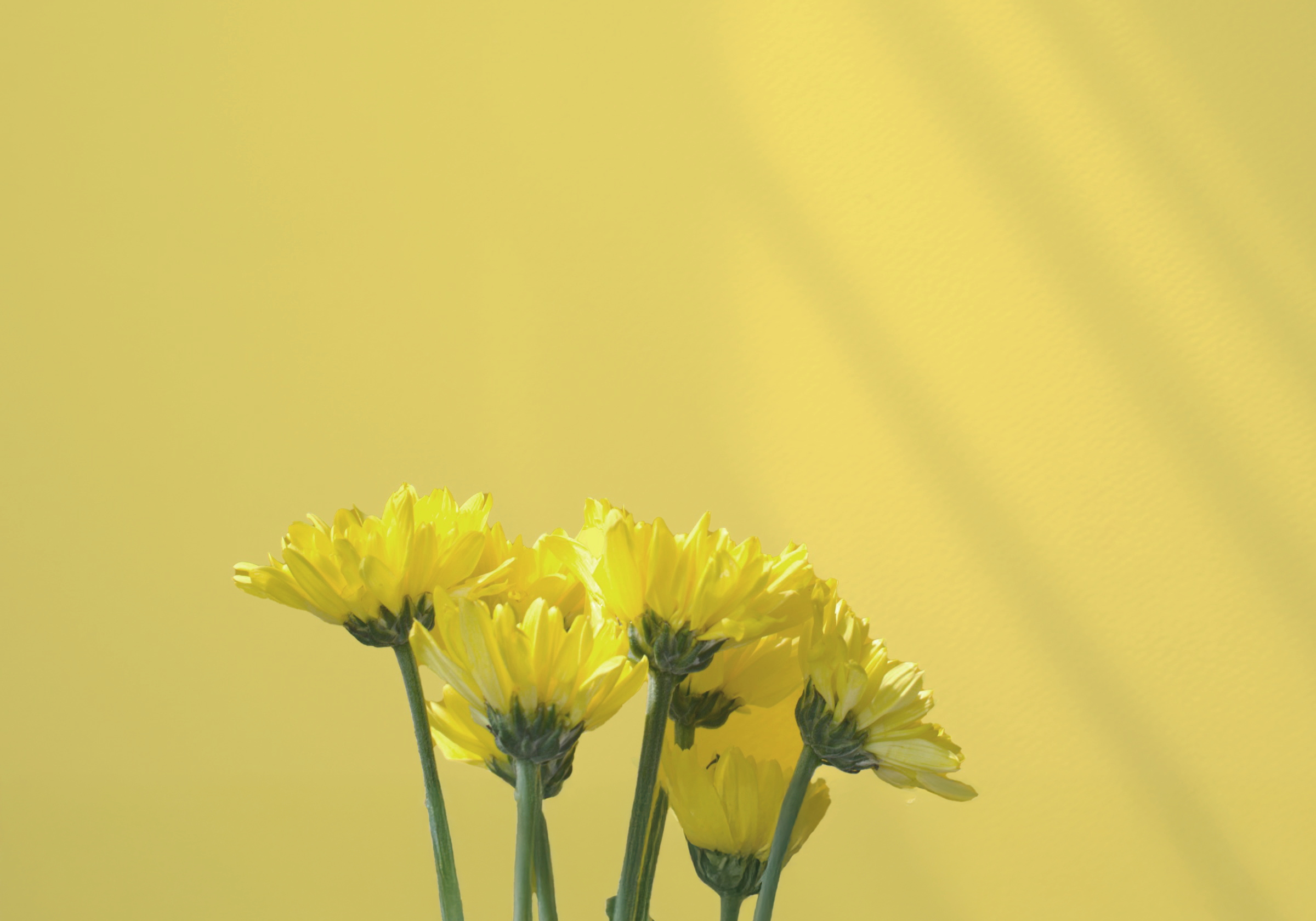 On a noté les 5 coupe-faims à la mode !