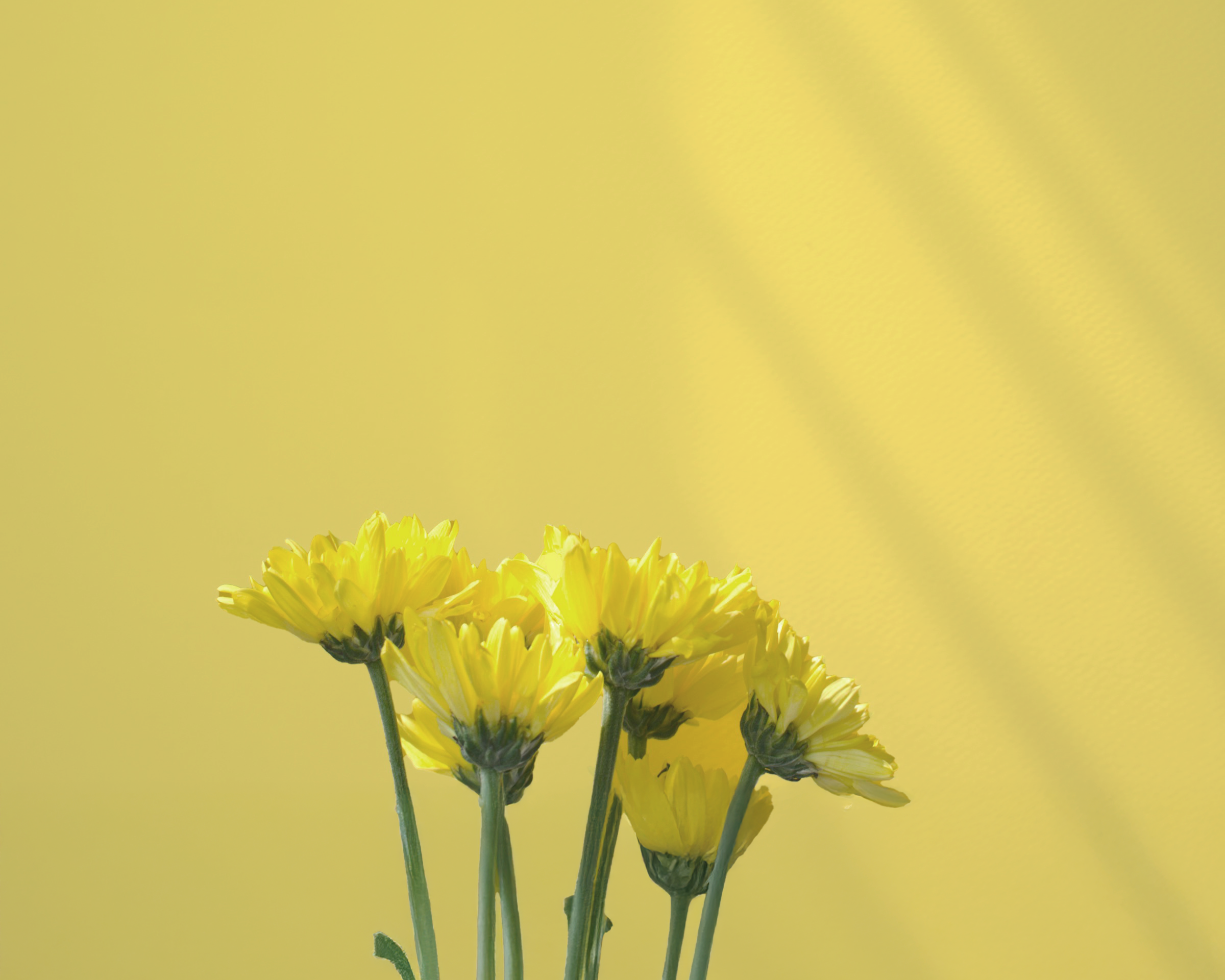 On a noté les 5 coupe-faims à la mode !