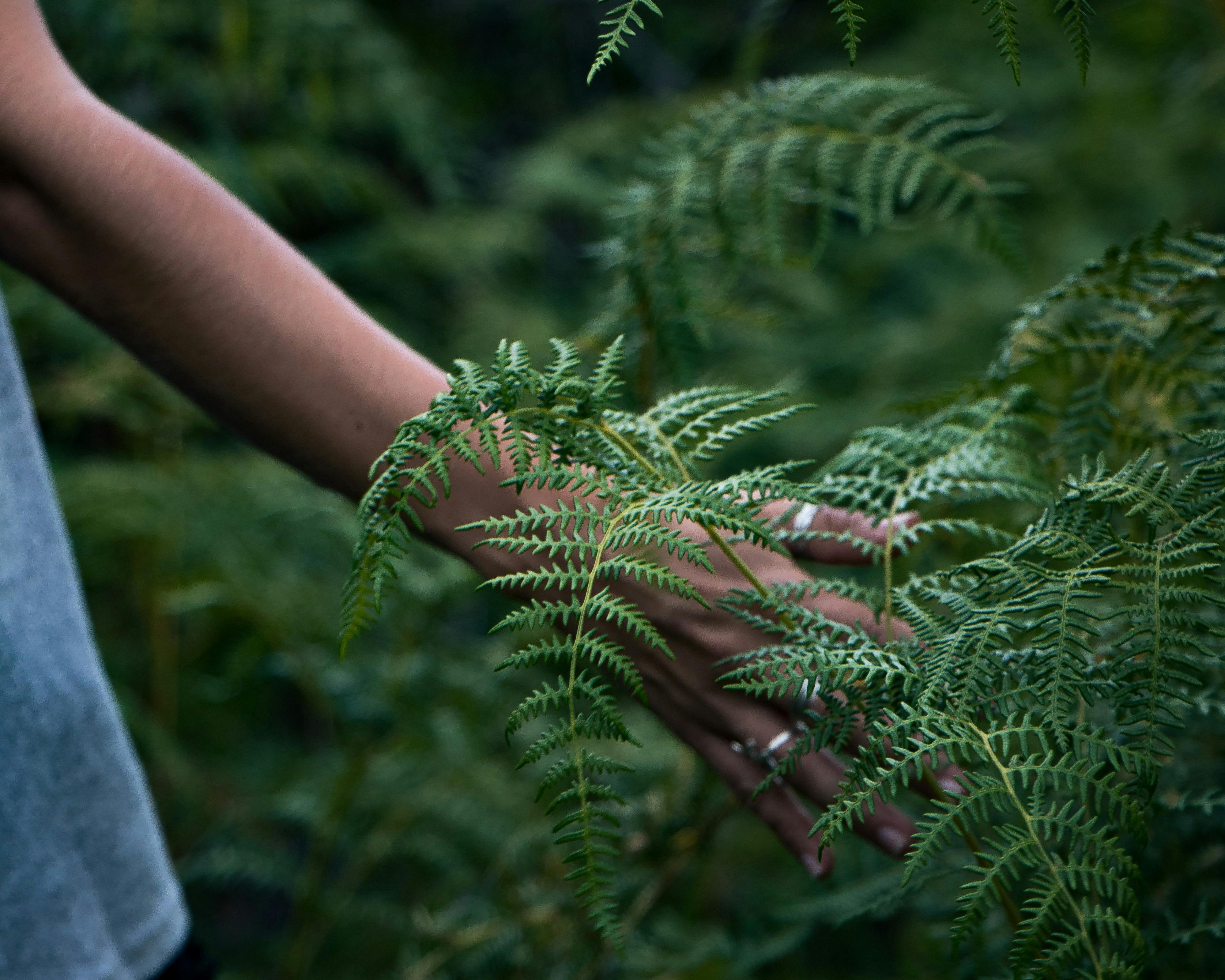 CBD et hypertension : un remède pour calmer votre pression artérielle ?
