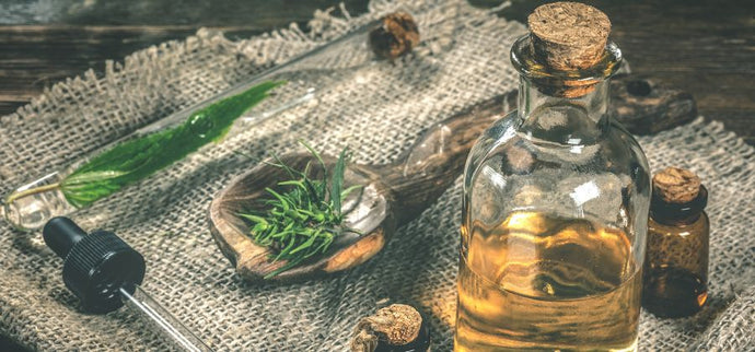 Sexualité : tout savoir sur l’huile intime CBD