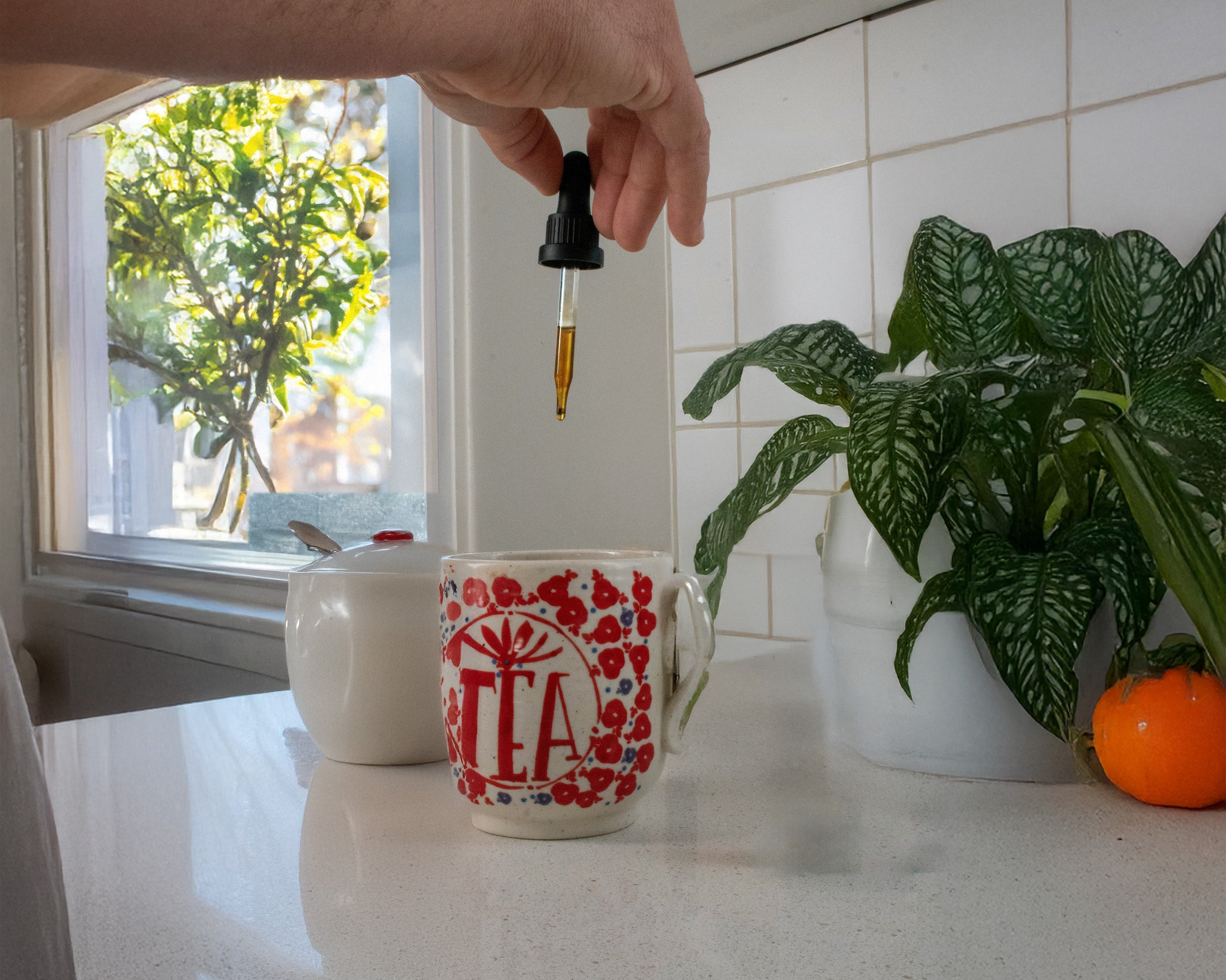 Cannabidiol : comment faire une infusion au CBD ?