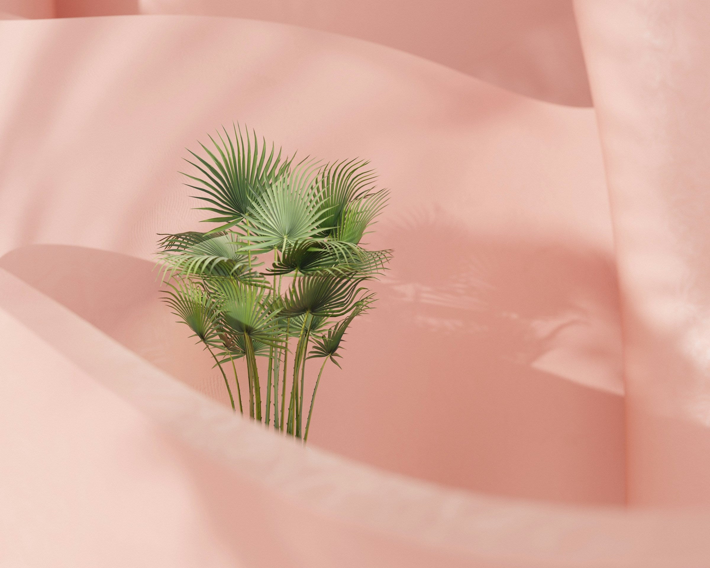 Sécheresse intime : 7 remèdes de grand-mère efficaces