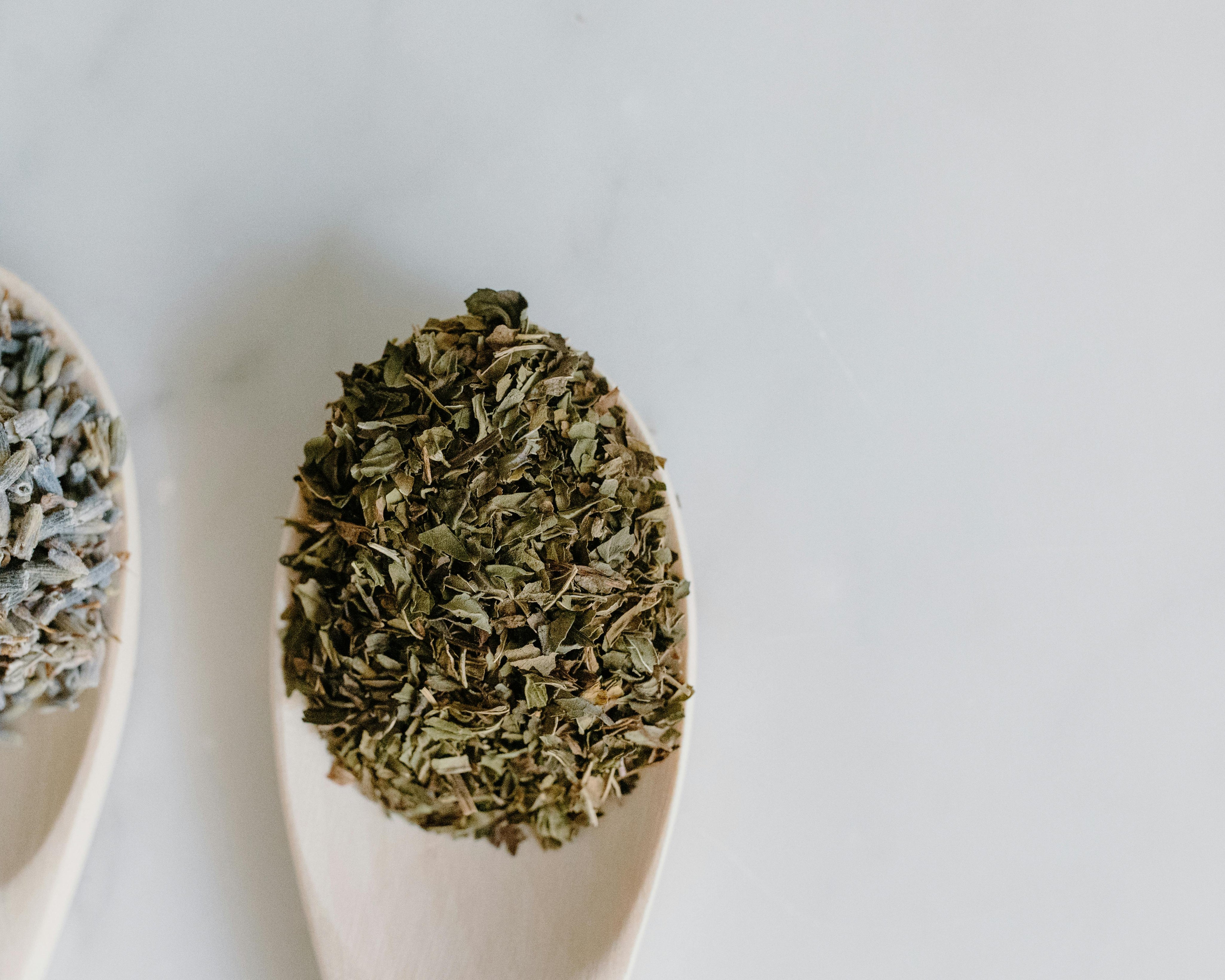 Tisane CBD : quels bienfaits sur l’organisme ?