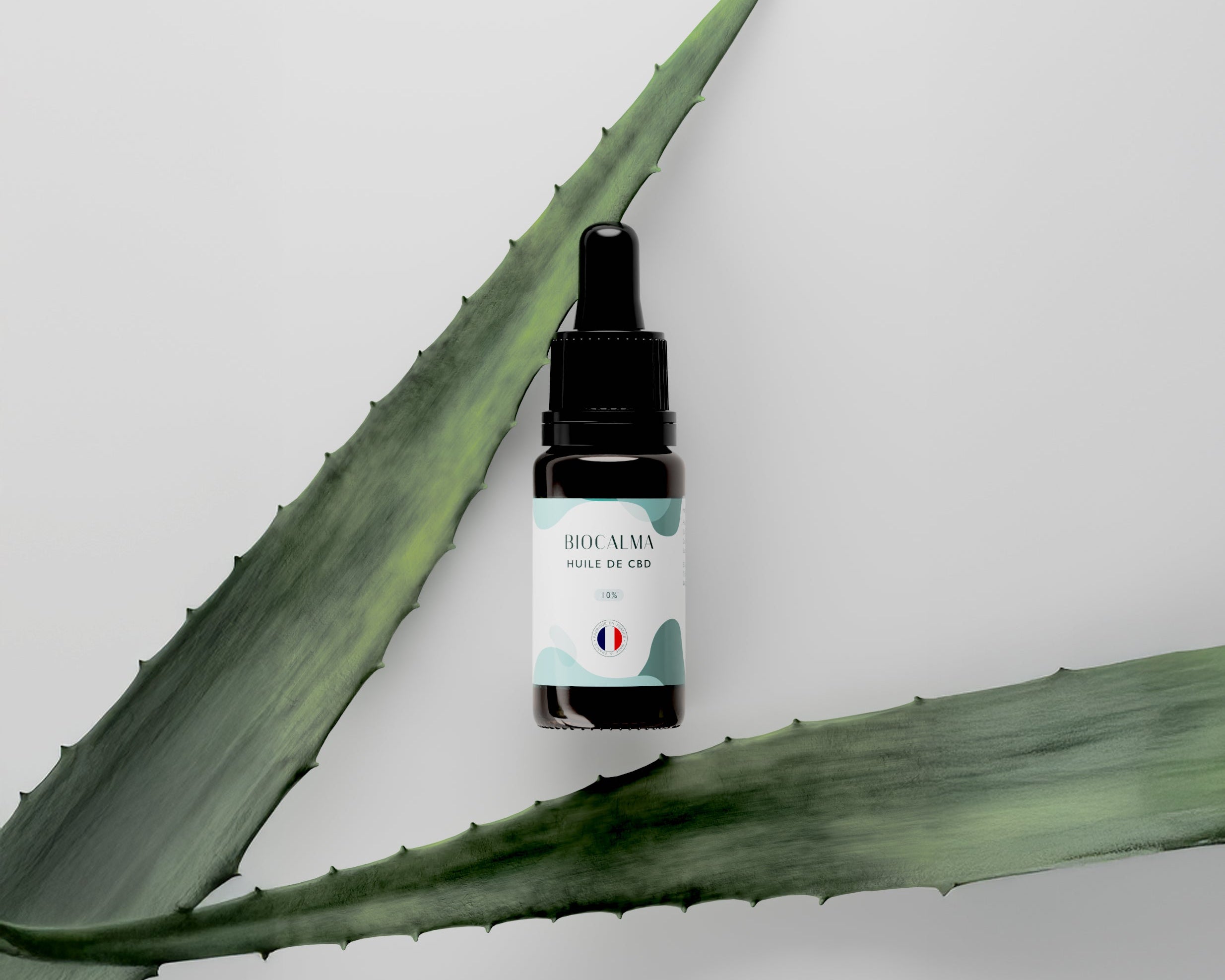 Tout savoir sur l’huile de CBD pressée à froid