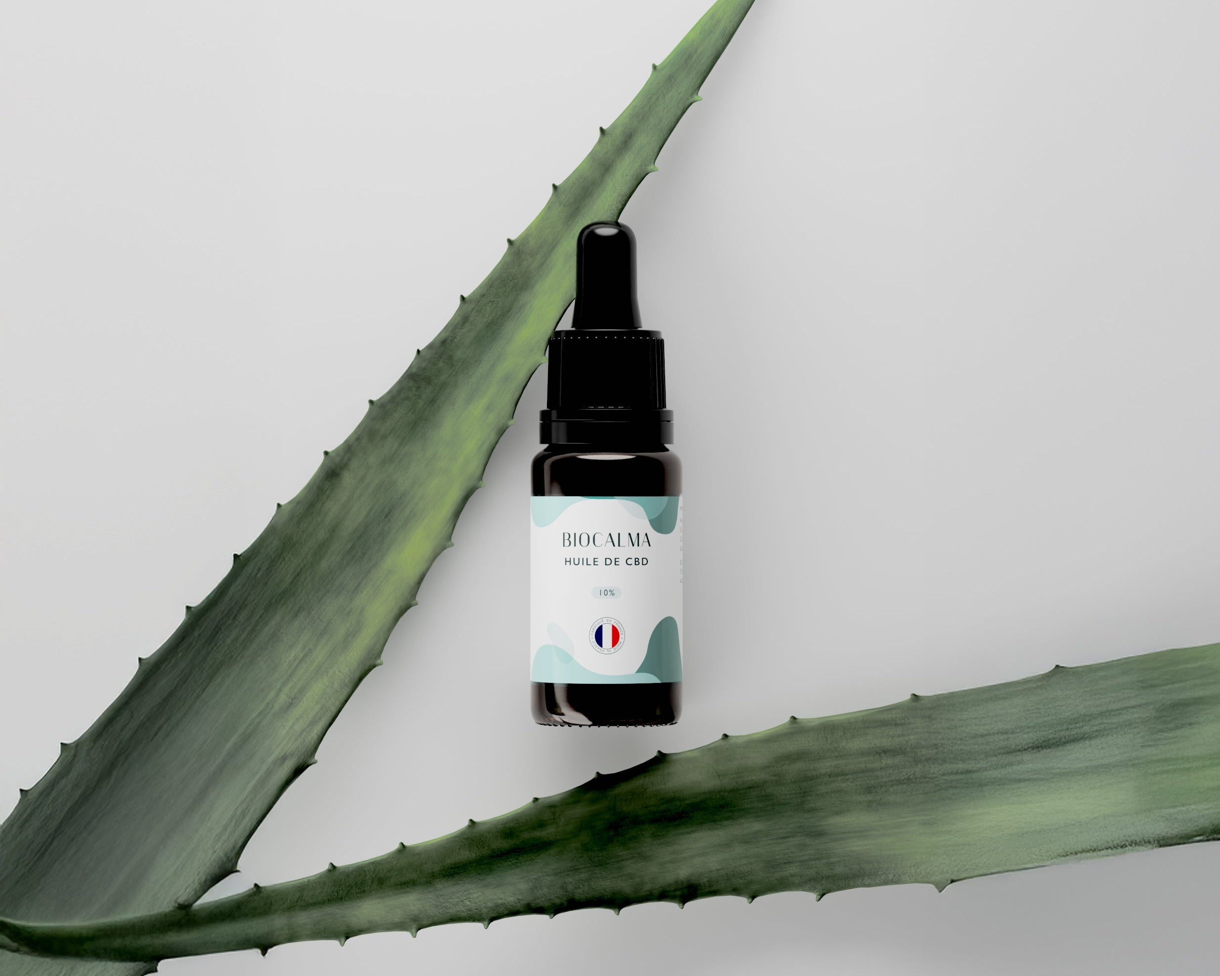 Tout savoir sur l’huile de CBD pressée à froid