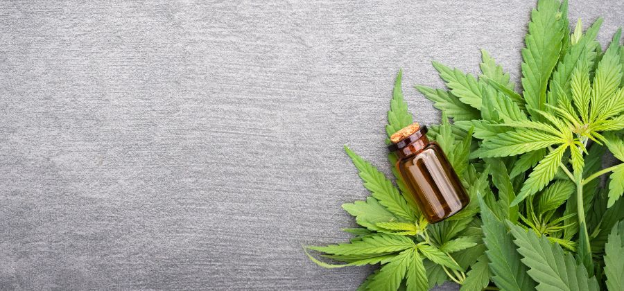 cannabidiol sport