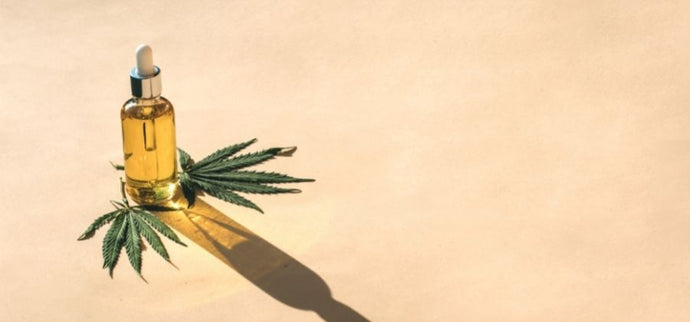 Comment utiliser le CBD ?