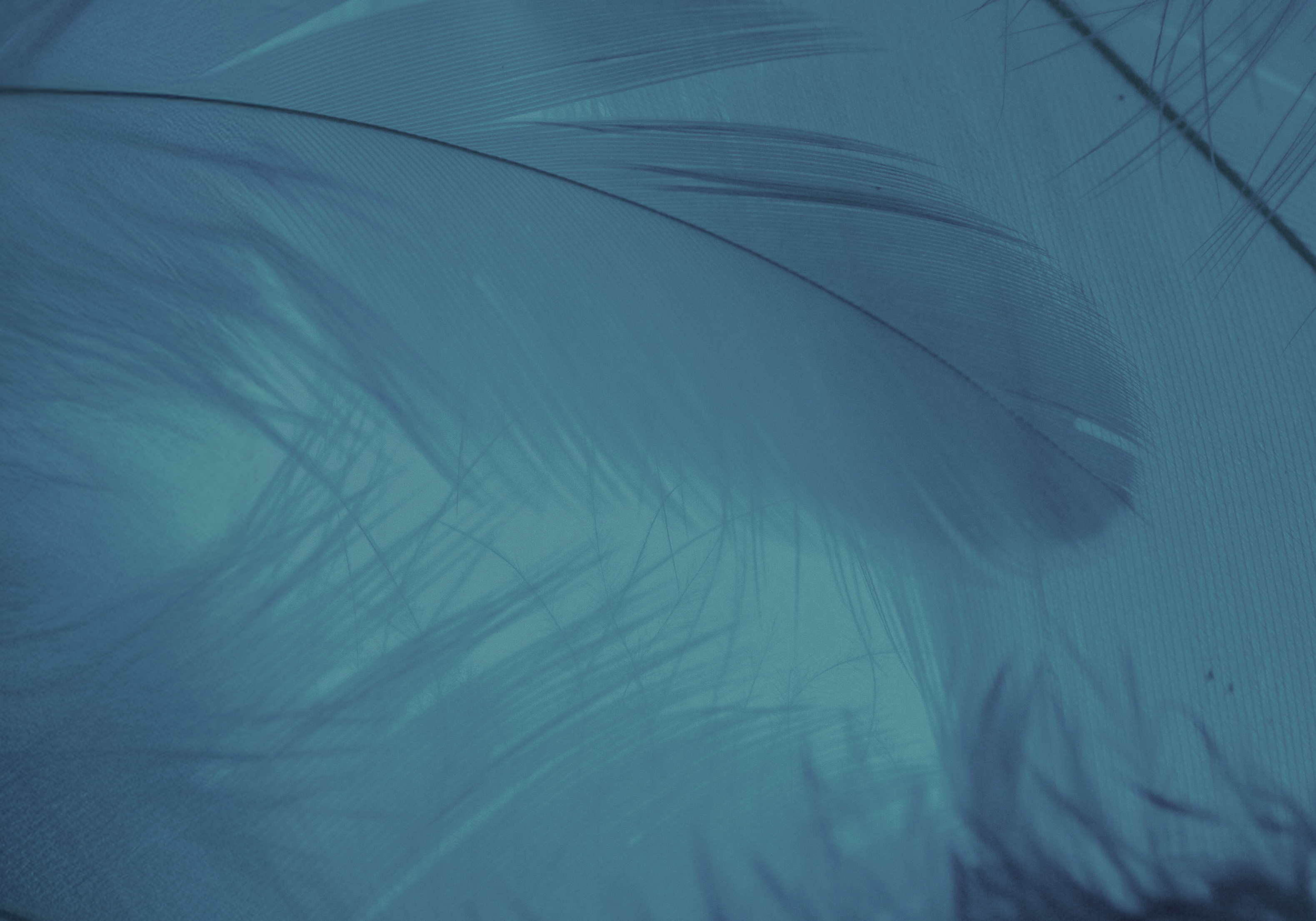 Hypersensibilité du gland : le facteur psychologique