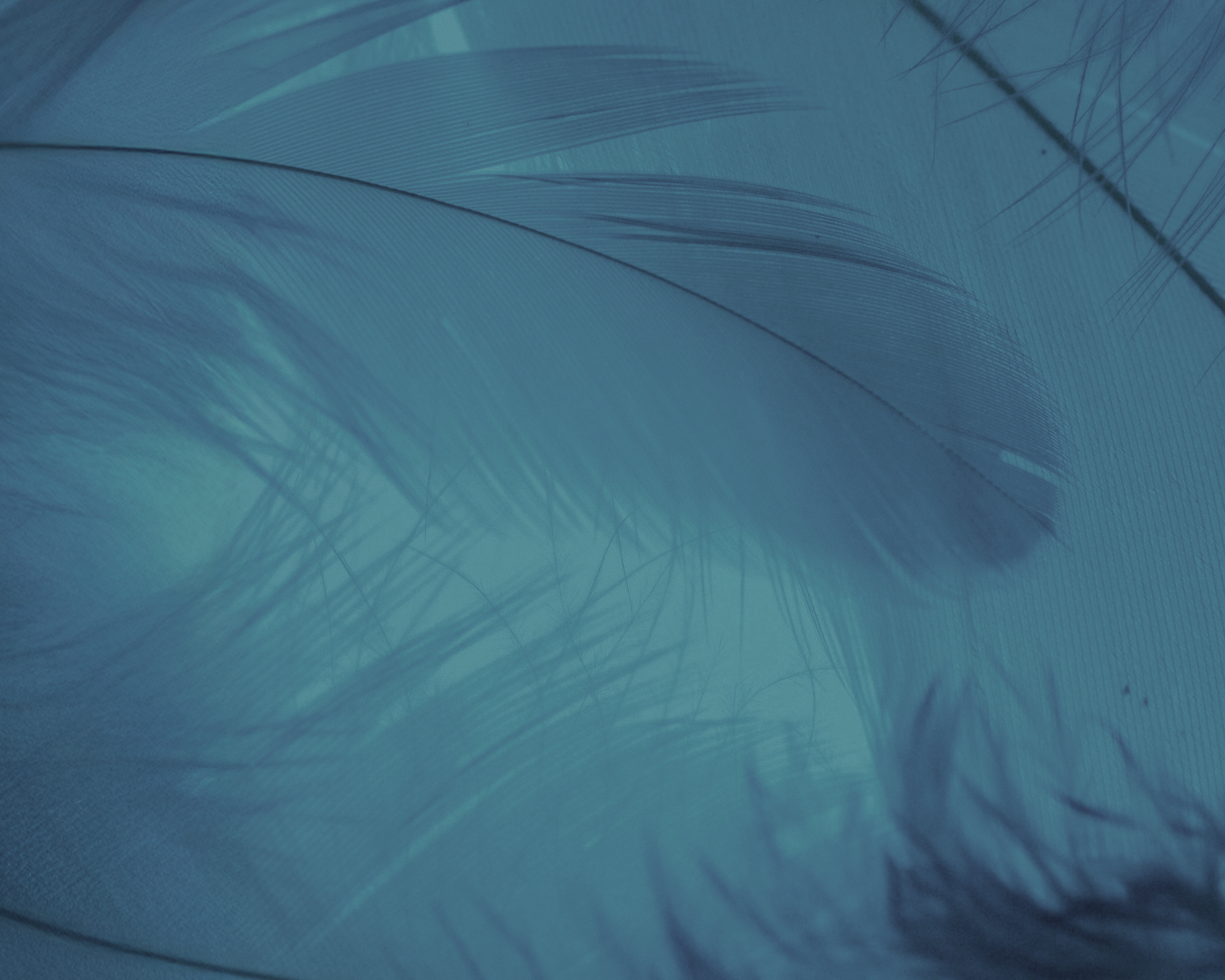 Hypersensibilité du gland : le facteur psychologique