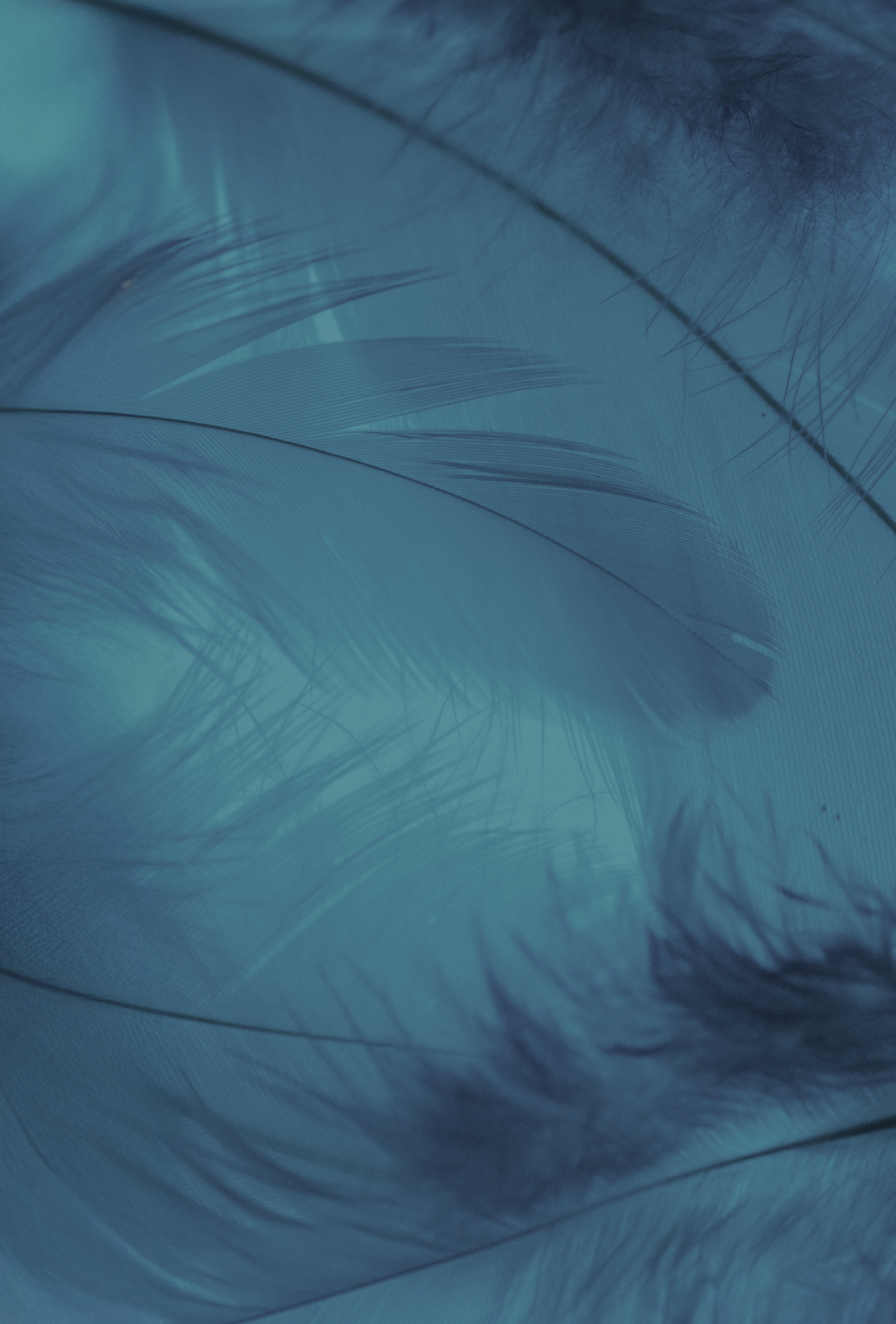 Hypersensibilité du gland : le facteur psychologique