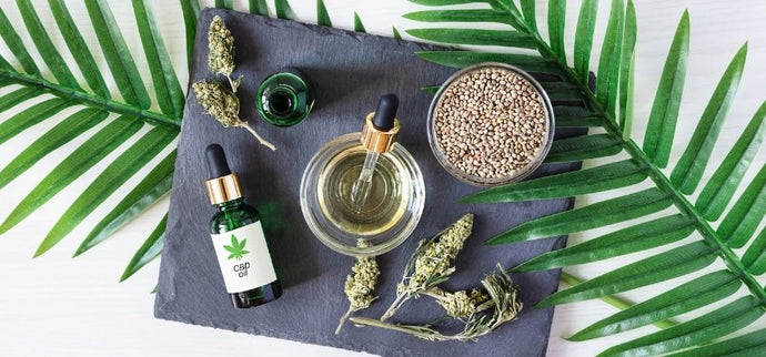 L’effet immédiat de l’huile de CBD