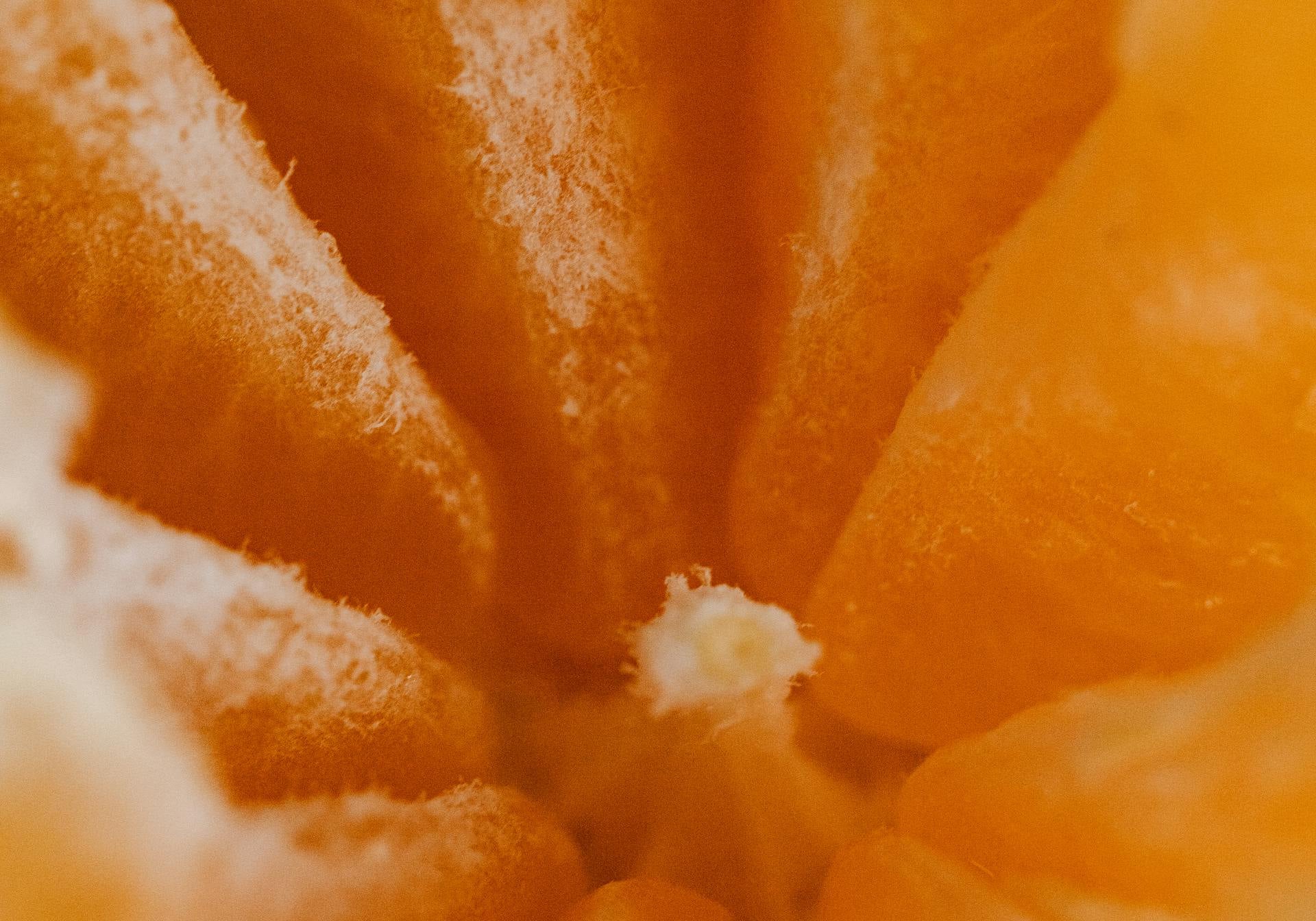 Libido masculine : les stimulants sont une fausse bonne solution