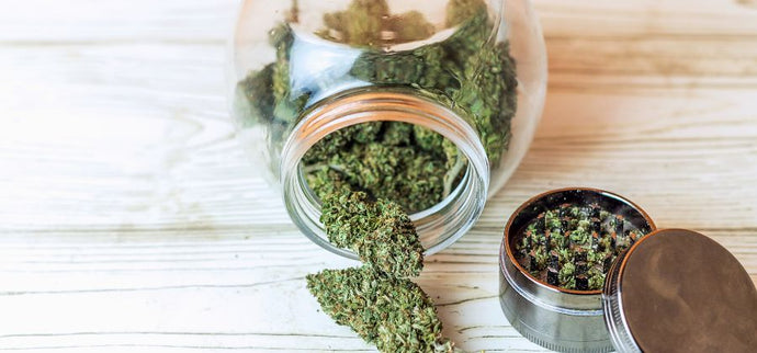 Quelles conséquences pour un test positif au CBD ?