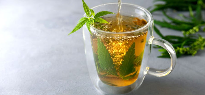 Tisane CBD : quels bienfaits sur l’organisme ?