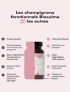 Champignons adaptogènes Équilibre