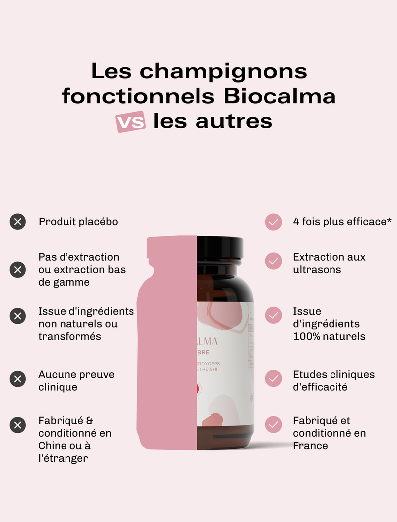 Champignons adaptogènes Équilibre