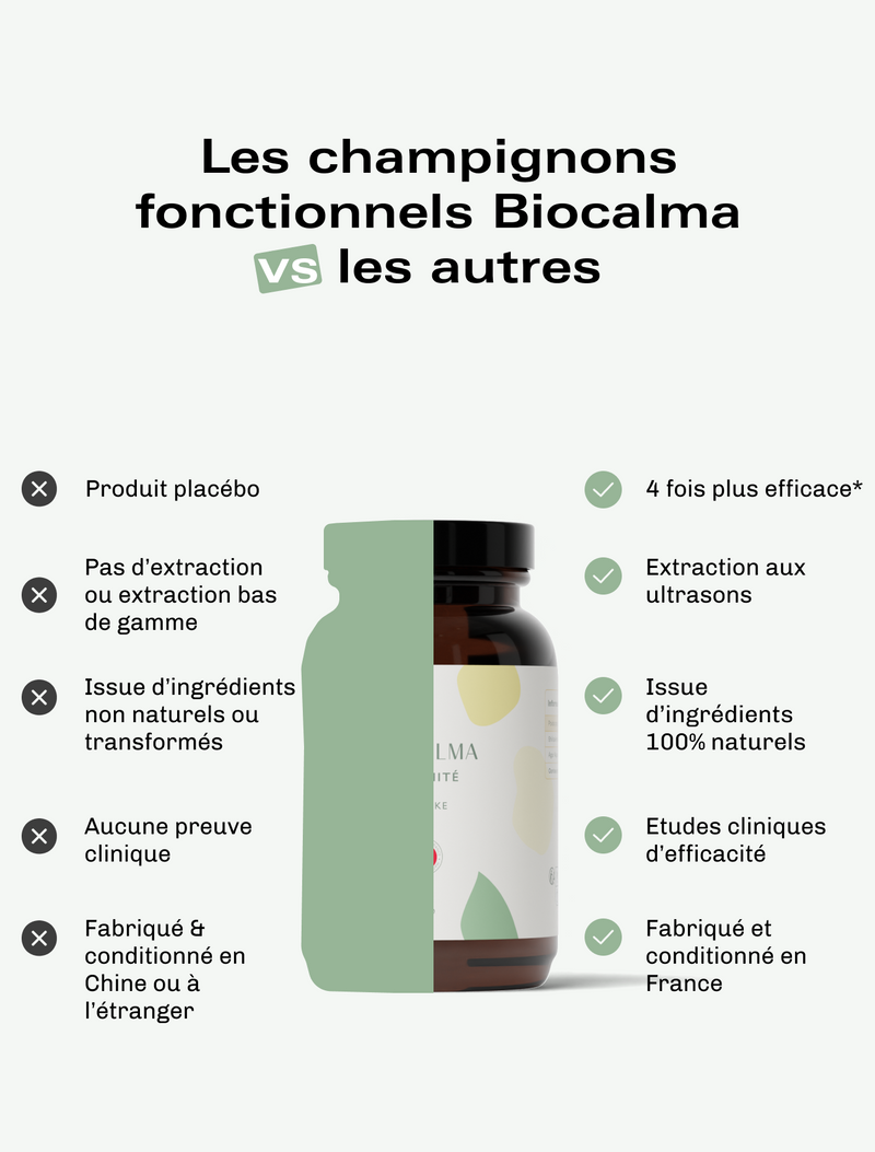 Champignons Adaptogènes Immunité