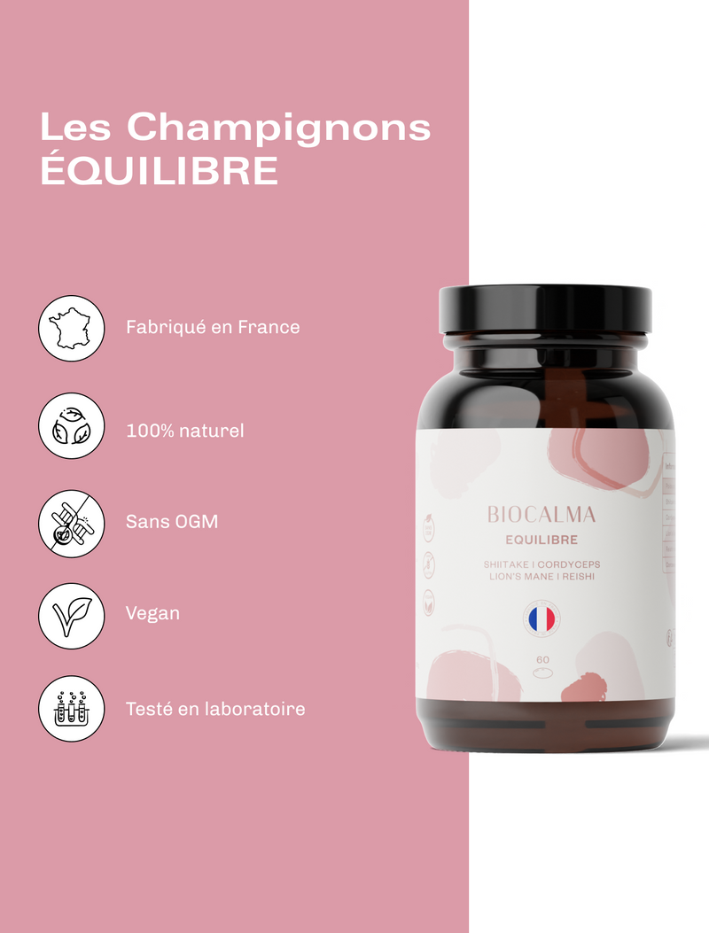 Champignons adaptogènes Équilibre