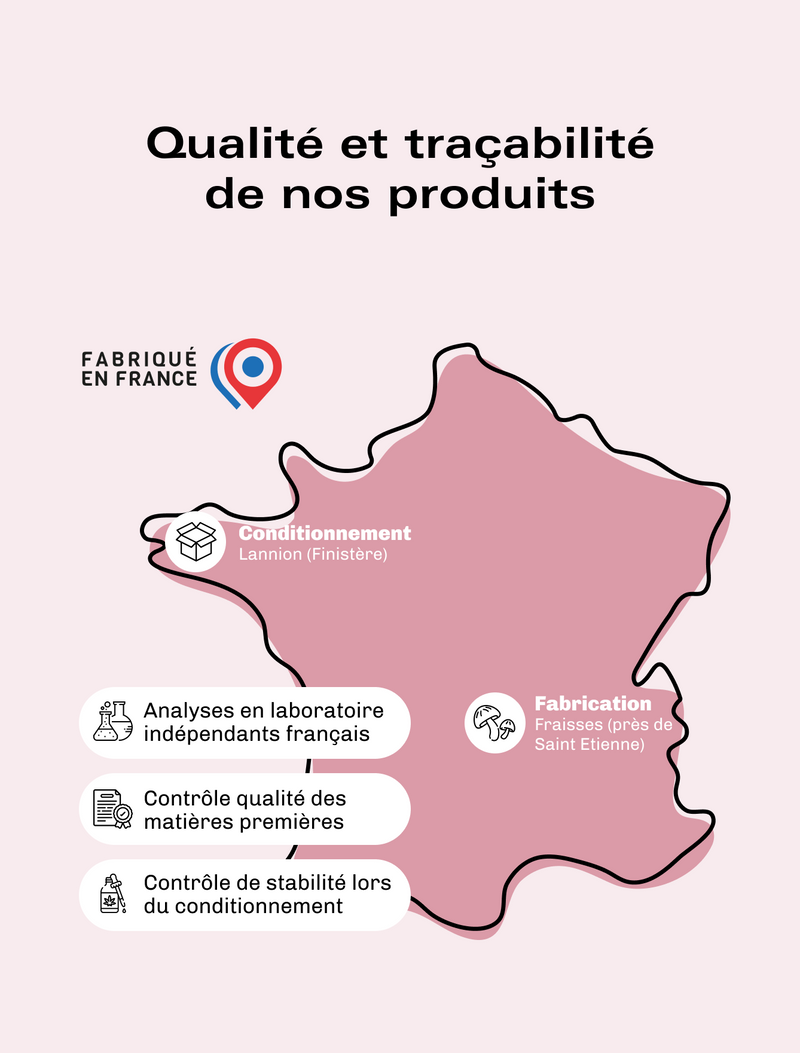 Champignons adaptogènes Équilibre