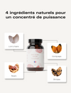 Champignons adaptogènes Équilibre