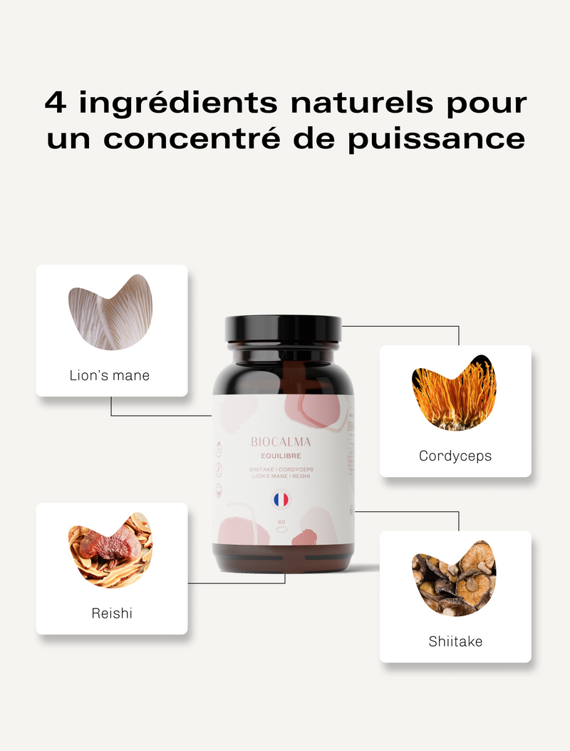 Champignons adaptogènes Équilibre