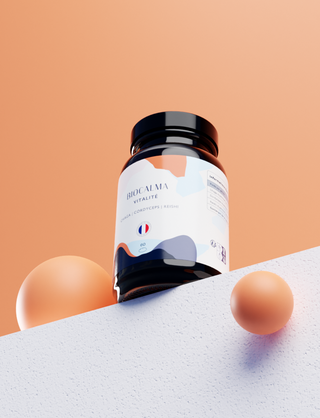 Champignons adaptogènes Vitalité