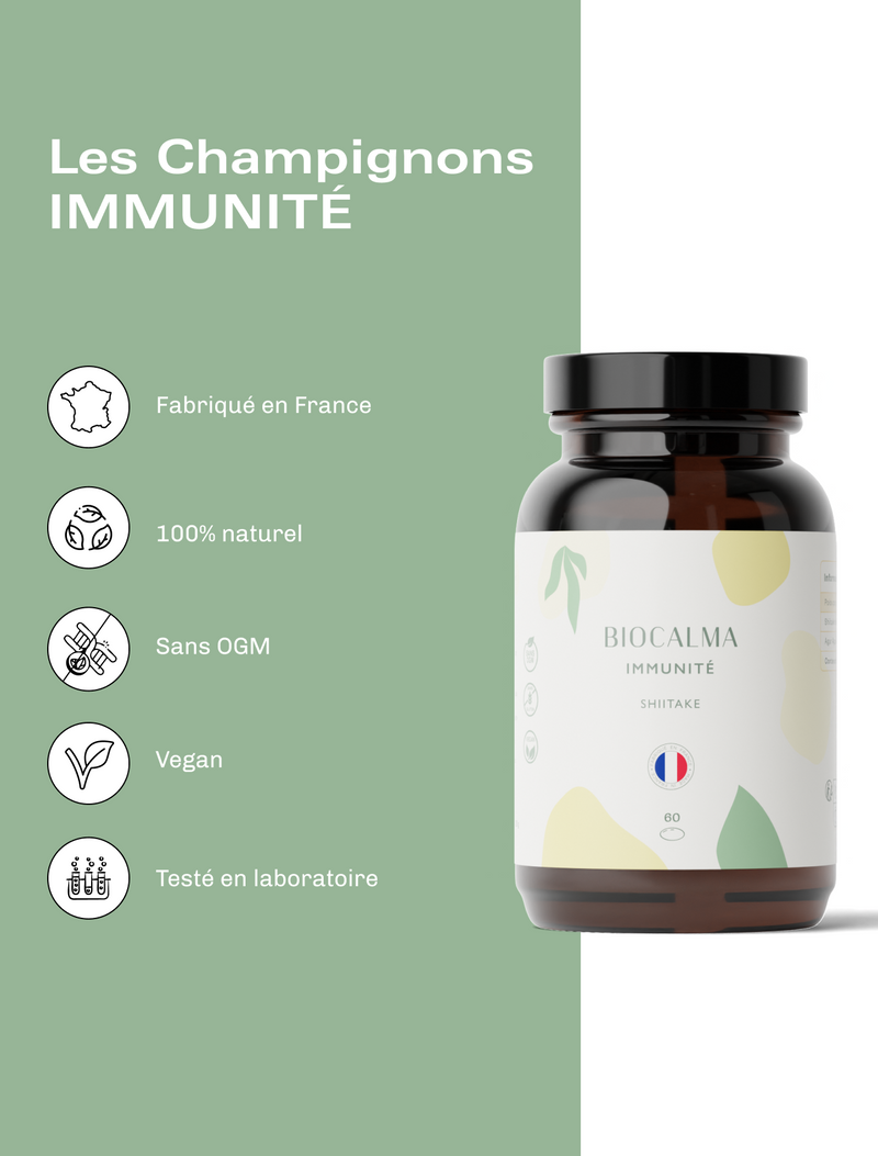 Champignons Adaptogènes Immunité