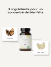 Champignons Adaptogènes Immunité