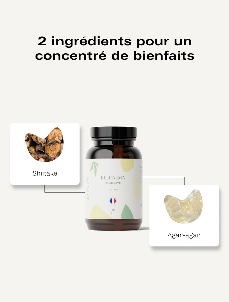 Champignons Adaptogènes Immunité