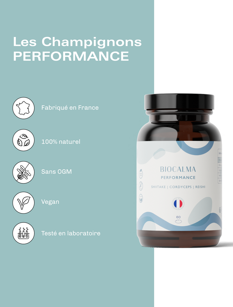 Champignons adaptogènes Performance - Rupture de stock