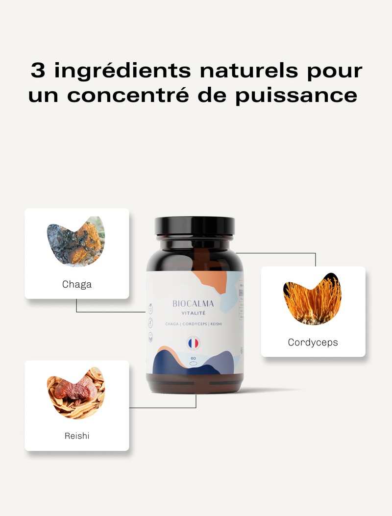 Champignons adaptogènes Vitalité