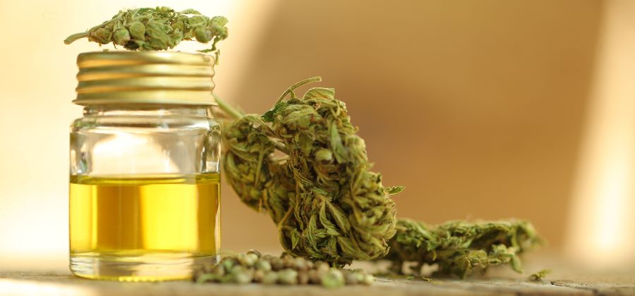 huile-de-cbd-pressee-a-froid.jpg